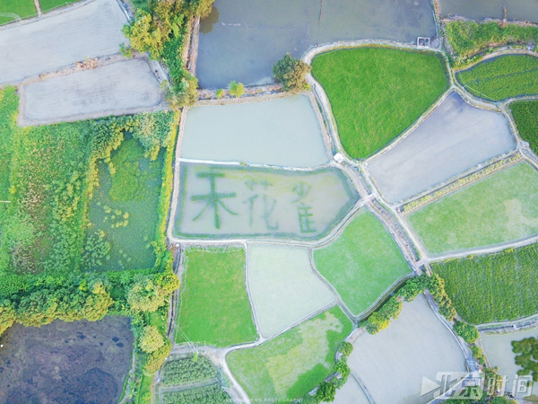 圖：身體上的殘障卻間接幫助鄭啟文發現了別人看不到的田園風光