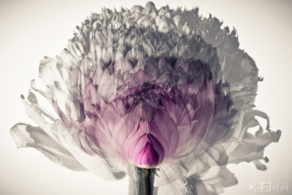 圖：鄭啟文早期攝影作品