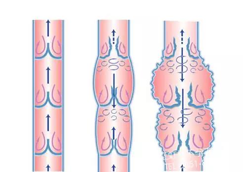 微信圖片_20171110145645.jpg 微信圖片_20171110145645.jpg