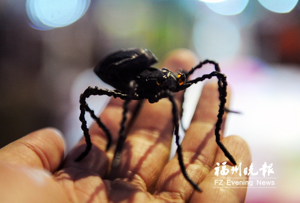 他編織的蜘蛛栩栩如生。