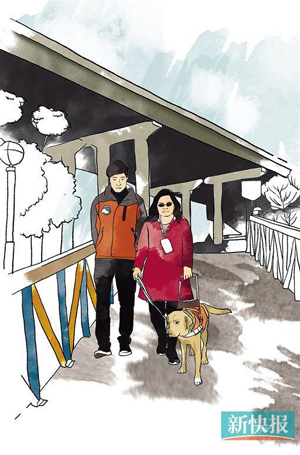 導(dǎo)盲犬Dora和它的訓(xùn)導(dǎo)師明子華,以及申領(lǐng)Dora的視障人士錢小紅,一起從中國導(dǎo)盲犬南方示范基地走出來,進(jìn)行實戰(zhàn)訓(xùn)練。