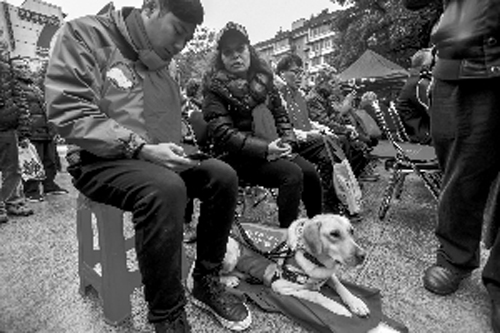 視障人士帶著導盲犬出席活動。信息時報記者 陳文杰 攝